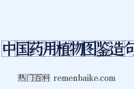 中国药用植物图鉴造句是什么意思的图片